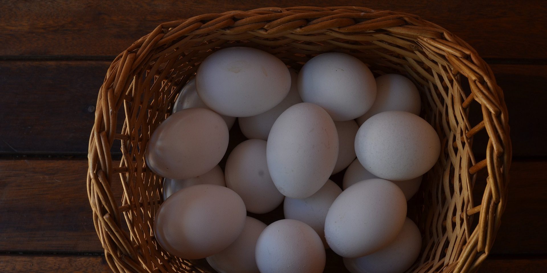 ovos no cesto falar sobre a importância da diversificação